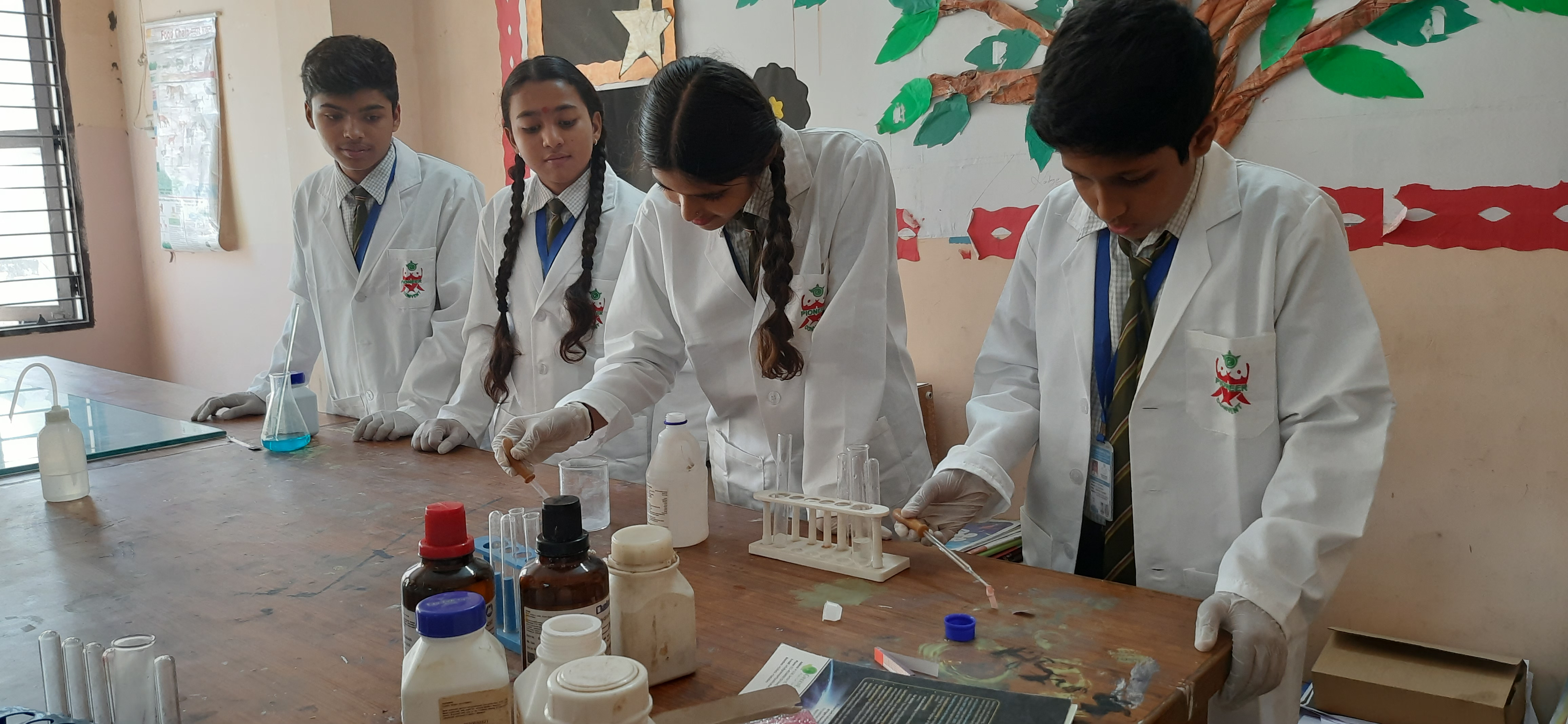 undergraduate education